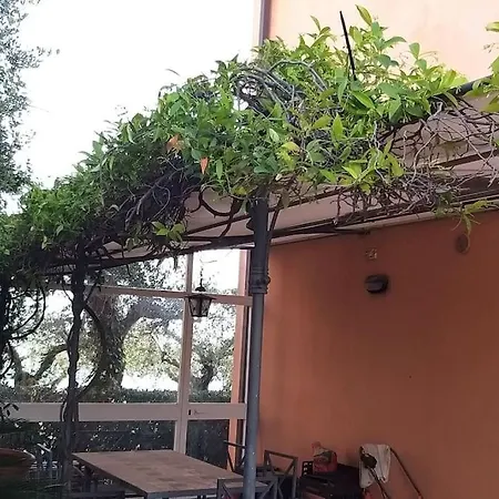 Casa Degli Ulivi Apartamento