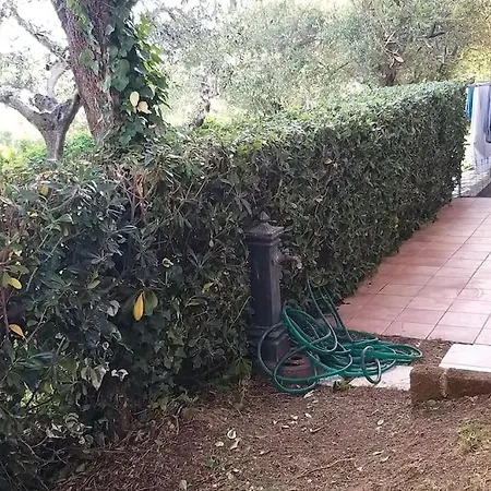 Casa Degli Ulivi Apartamento